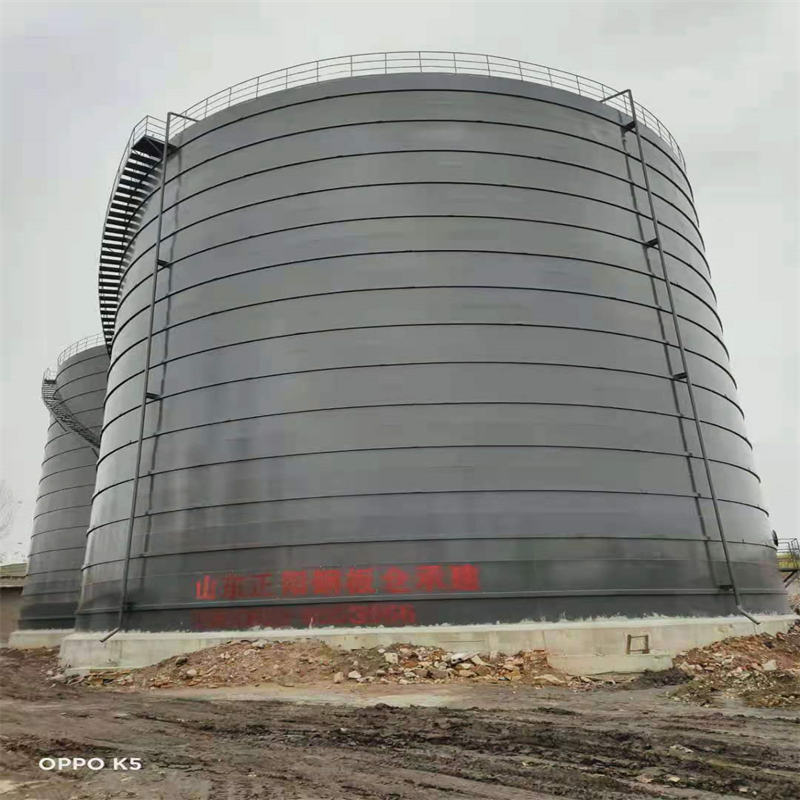 八宿3万吨大型钢板库