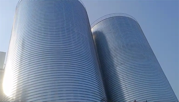 八宿2座混凝土高架卷板仓